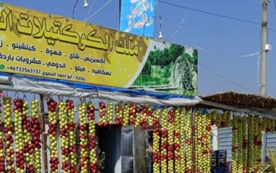 ملك الكوكتيلات