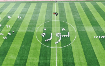 W idlib stadium
