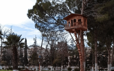 حديقة الحسين