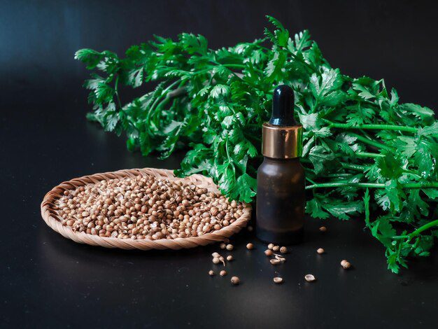 فوائد الكزبرة وبذورها للصحة 1 فوائد الكزبرة وبذورها للصحة