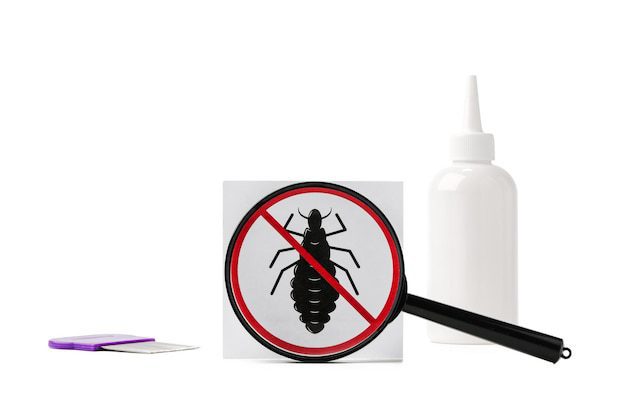 حشرة القراد: دليلك الشامل