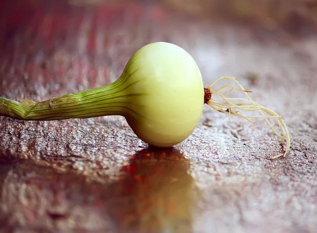 البصل الأخضر: فوائد عديدة للمناعة وأكثر!