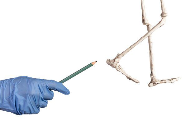 زرع نخاع العظم