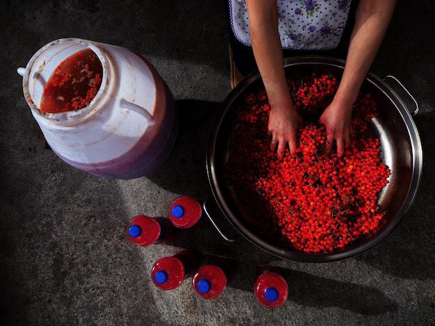 استخدامات السماق