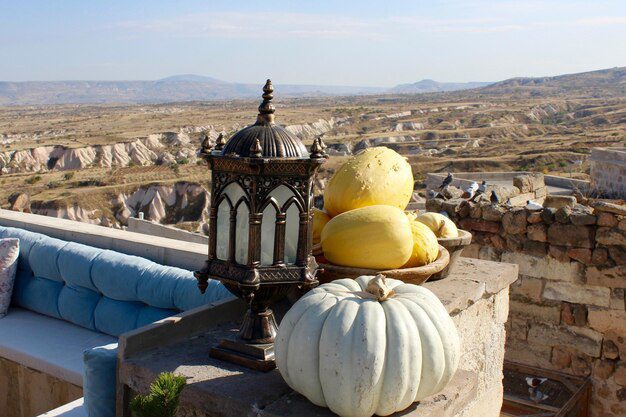 ريفامبيسين 1 ريفامبيسين