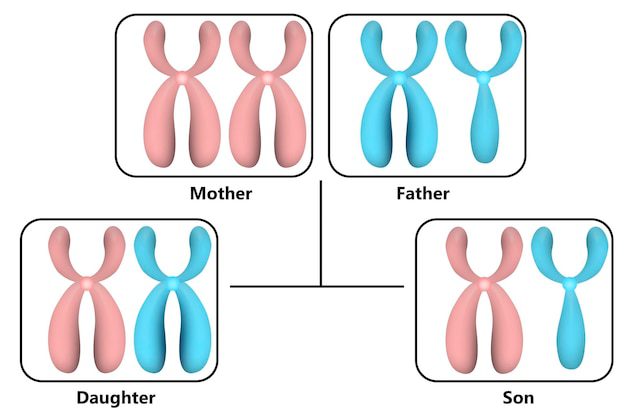 جون<em class="i-icon-boy"></em> 1 جون<em class="i-icon-boy"></em>